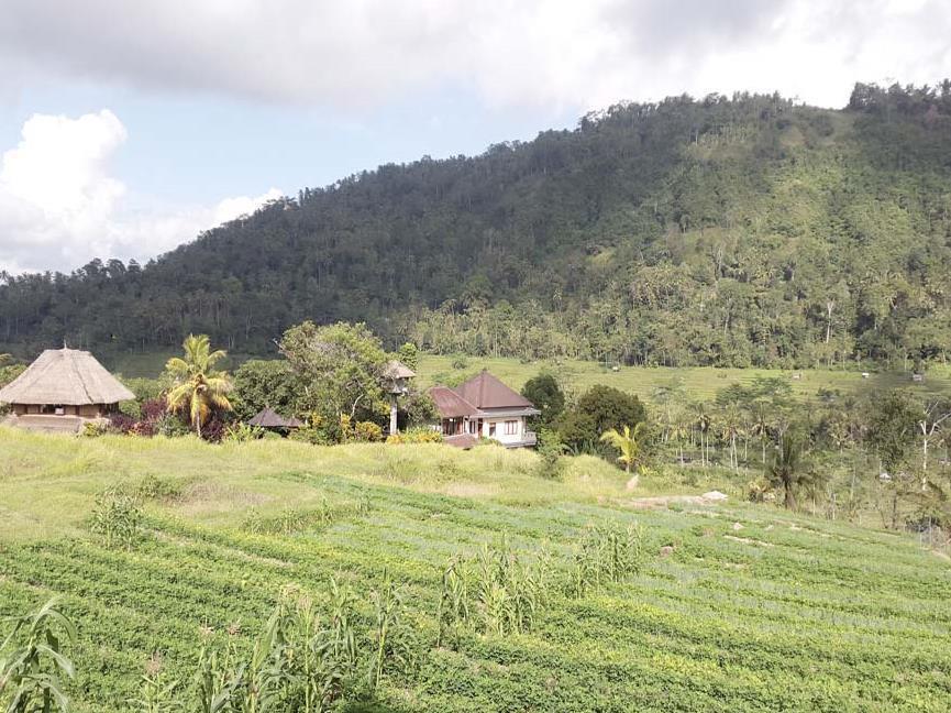 Embang Homestay Sidemen  Εξωτερικό φωτογραφία
